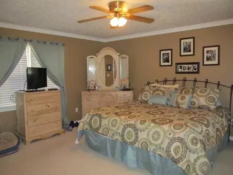 101 Mae Ave, Easley, SC 29640 photo 15