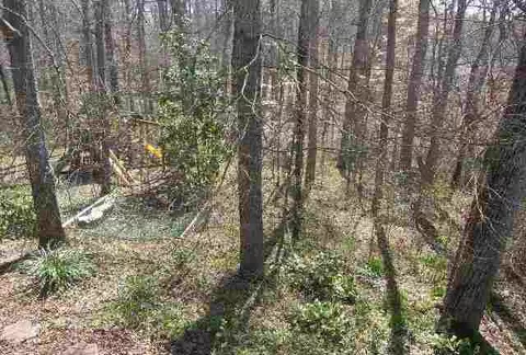 112 Grand Oak Cir, Pendleton, SC 29670 photo 23