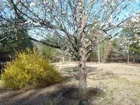 259 Nectarine Cir, Walhalla, SC 29691 photo 16
