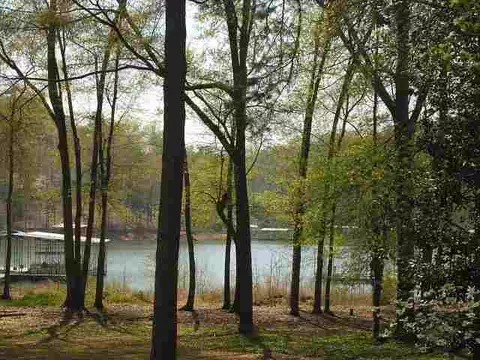 208 Holiday E, Clemson, SC 29631 photo 22