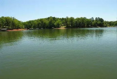 208 Holiday E, Clemson, SC 29631 photo 25