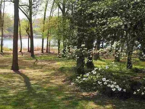 208 Holiday E, Clemson, SC 29631 photo 20