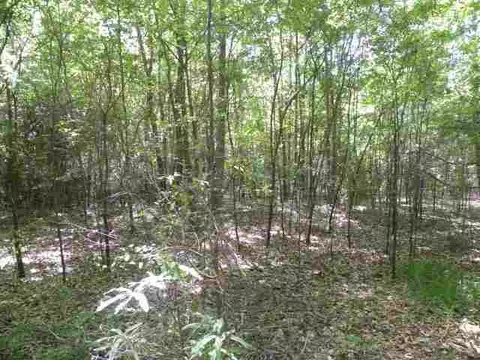 209 Coffee Rd, Walhalla, SC 29691 photo 6