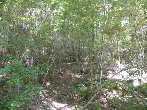 209 Coffee Rd, Walhalla, SC 29691 photo 11