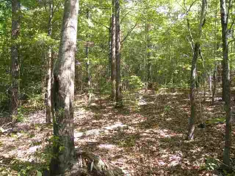 209 Coffee Rd, Walhalla, SC 29691 photo 12