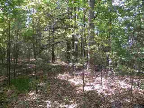 209 Coffee Rd, Walhalla, SC 29691 photo 7