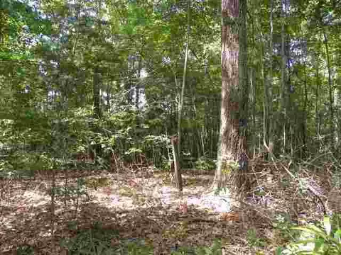209 Coffee Rd, Walhalla, SC 29691 photo 8