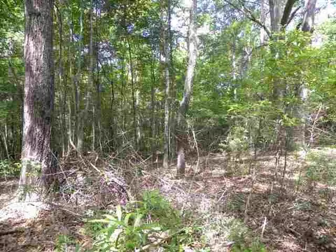 209 Coffee Rd, Walhalla, SC 29691 photo 9