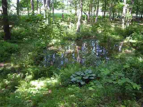 263 Horseshoe Rd, Central, SC 29630 photo 24