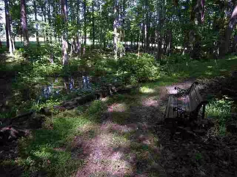 263 Horseshoe Rd, Central, SC 29630 photo 23