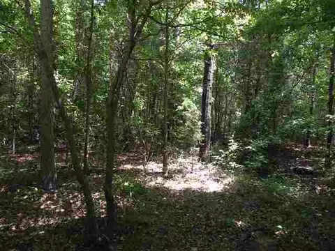 900 Wilson Rd, Central, SC 29630 photo 24