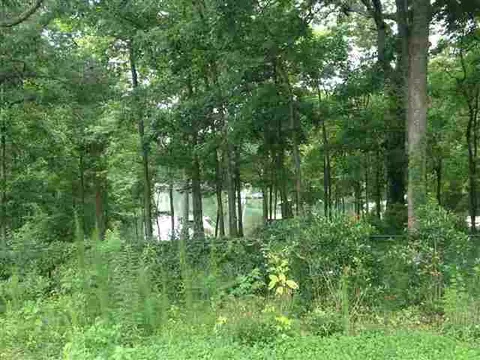 144 Ginn Rd, Starr, SC 29684 photo 4