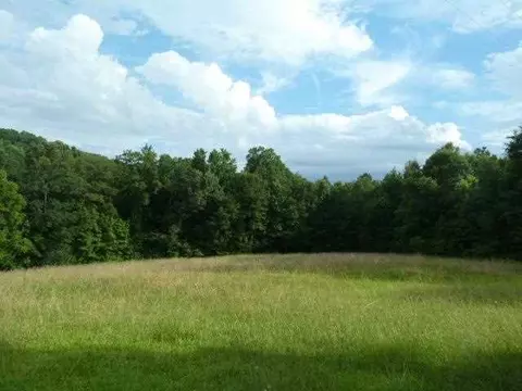 384 Brown Bottom Rd, Central, SC 29630 photo 3