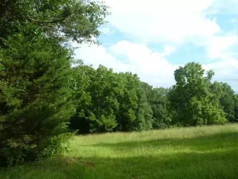 384 Brown Bottom Rd, Central, SC 29630 photo 1