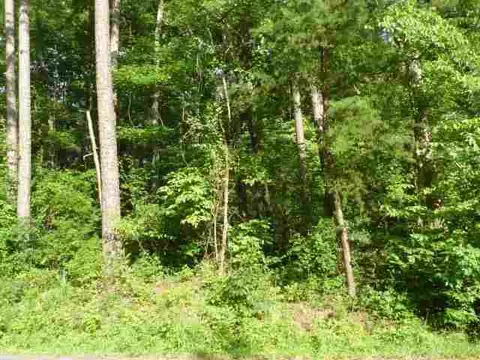 384 Brown Bottom Rd, Central, SC 29630 photo 16