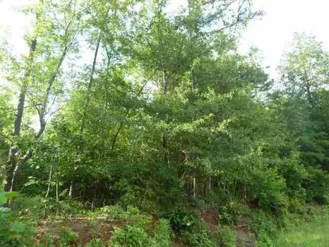 384 Brown Bottom Rd, Central, SC 29630 photo 7