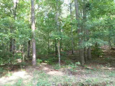 384 Brown Bottom Rd, Central, SC 29630 photo 18