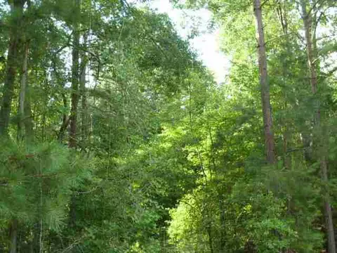 384 Brown Bottom Rd, Central, SC 29630 photo 10