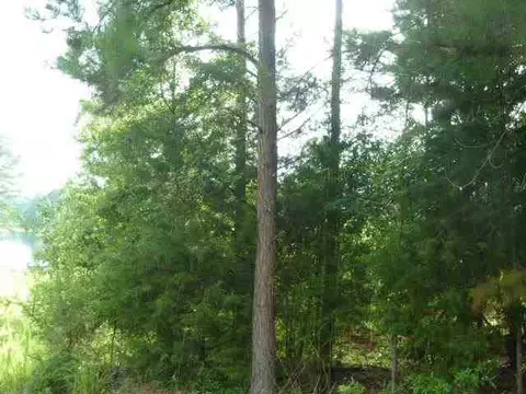 384 Brown Bottom Rd, Central, SC 29630 photo 11