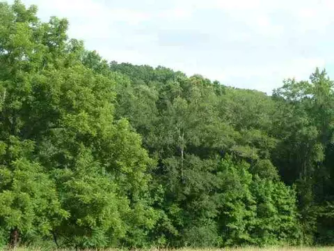 384 Brown Bottom Rd, Central, SC 29630 photo 5