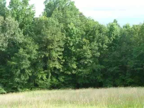 384 Brown Bottom Rd, Central, SC 29630 photo 6
