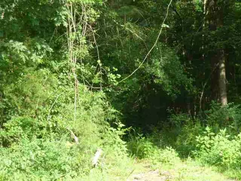 384 Brown Bottom Rd, Central, SC 29630 photo 12