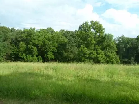 384 Brown Bottom Rd, Central, SC 29630 photo 2