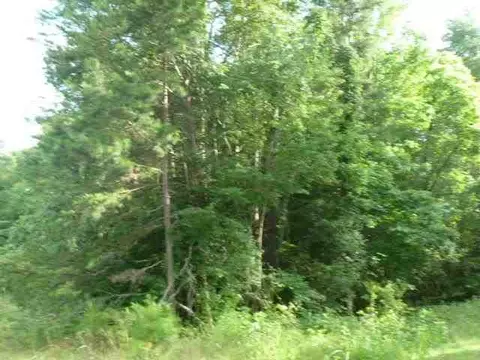 384 Brown Bottom Rd, Central, SC 29630 photo 8