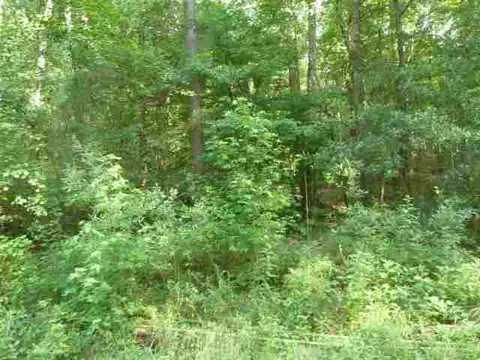 384 Brown Bottom Rd, Central, SC 29630 photo 17