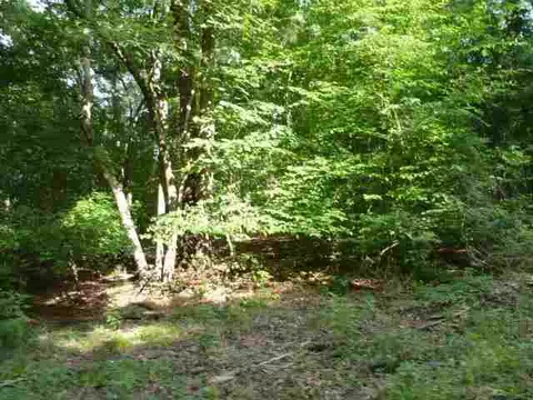 384 Brown Bottom Rd, Central, SC 29630 photo 19