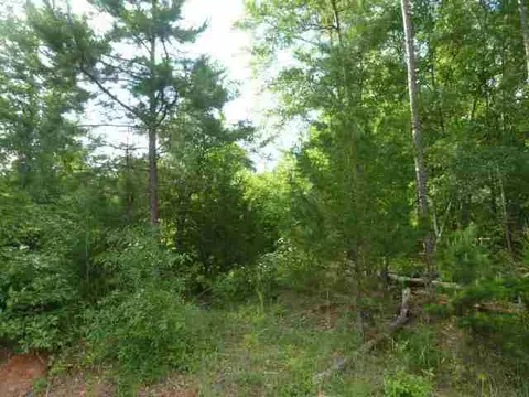 384 Brown Bottom Rd, Central, SC 29630 photo 4