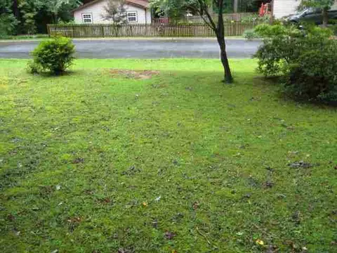 134 Lakeshore Dr, Easley, SC 29642 photo 24