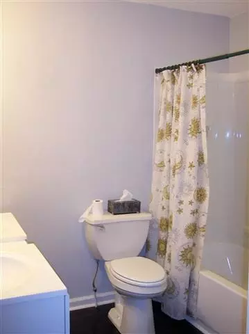 3 Hale St, Pelzer, SC 29669 photo 14