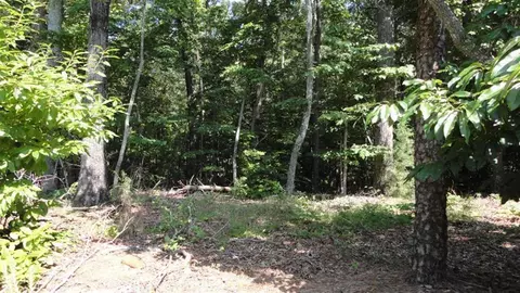 lot225 Waterford Pointe, Seneca, SC 29672 photo 3