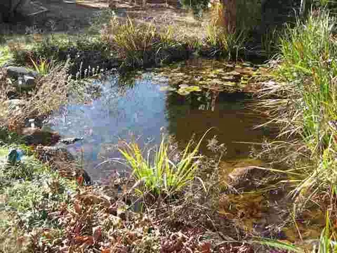 151 Croxton Rd, Williamston, SC 29697 photo 19