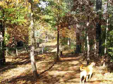 151 Croxton Rd, Williamston, SC 29697 photo 15