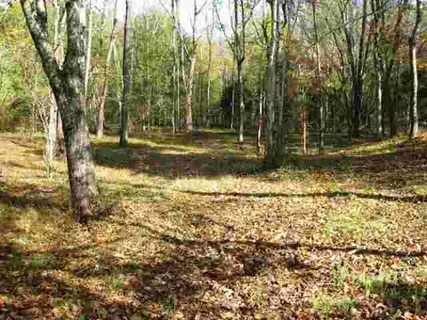 151 Croxton Rd, Williamston, SC 29697 photo 24