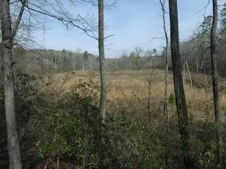 1641 Shirley Dr, Anderson, SC 29621 photo 3