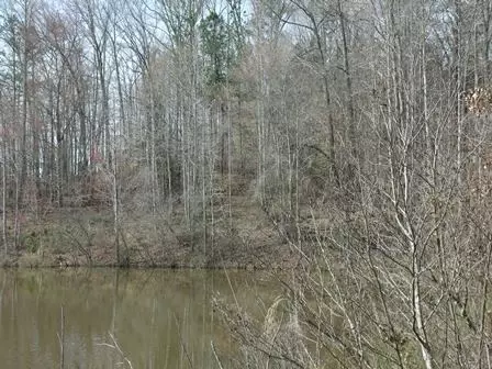 1641 Shirley Dr, Anderson, SC 29621 photo 2