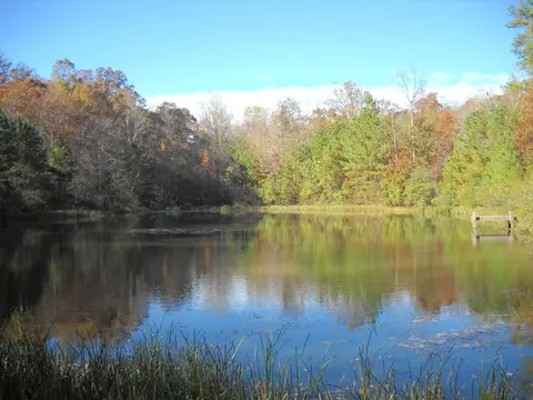 221 Morgan Dr #STRATFORD POND, Central, SC 29630 photo 1