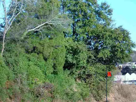 226 Shaw St, Clemson, SC 29631 photo 14