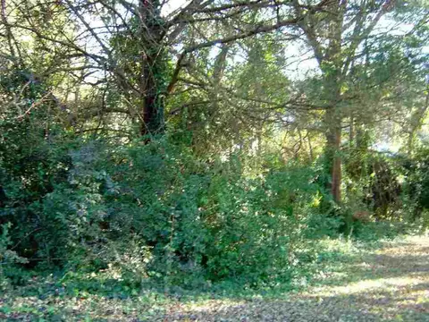 226 Shaw St, Clemson, SC 29631 photo 7