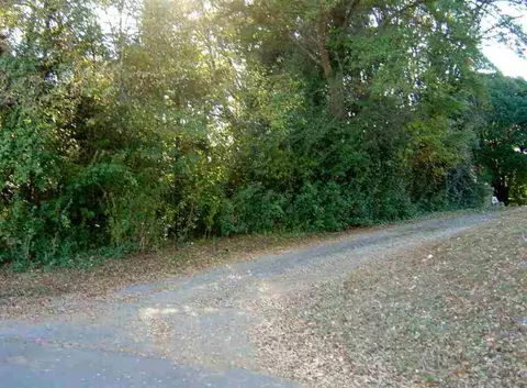 226 Shaw St, Clemson, SC 29631 photo 5