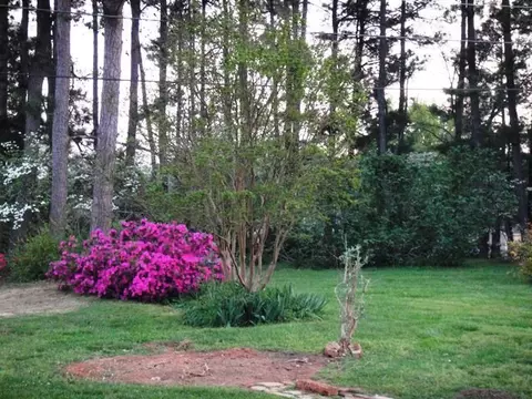 1 Devore Ln, Honea Path, SC 29654 photo 33