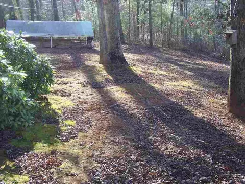 110 Morris Rd, Pickens, SC 29671 photo 7