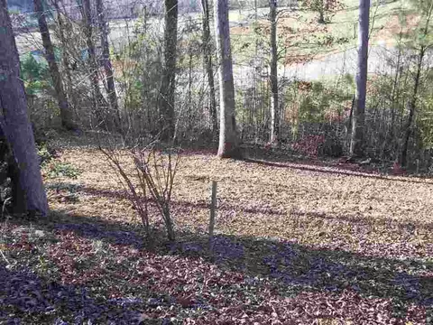 110 Morris Rd, Pickens, SC 29671 photo 10