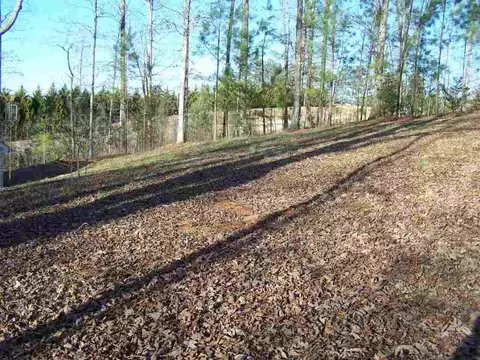 110 Morris Rd, Pickens, SC 29671 photo 13