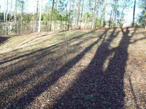 110 Morris Rd, Pickens, SC 29671 photo 12