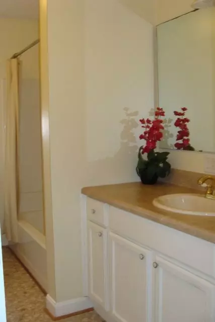207 Mountain View Dr, Central, SC 29630 photo 14