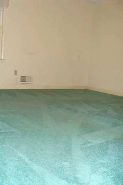 218 Hunter Ave, Clemson, SC 29631 photo 20